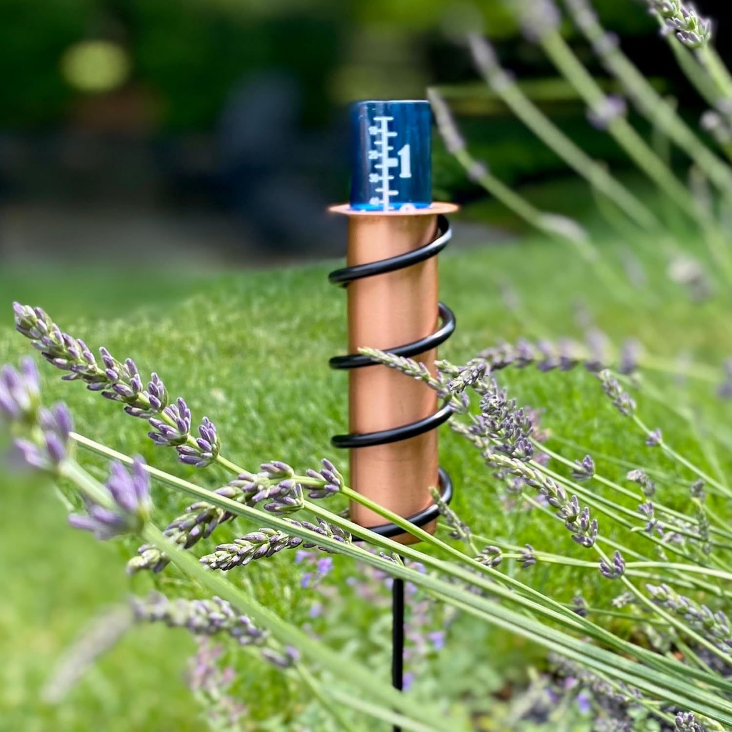 World's Coolest Rain Gauge in lavender